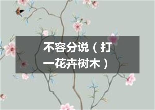 不容分说（打一花卉树木）