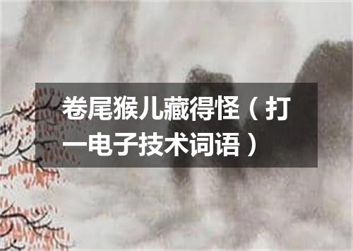 卷尾猴儿藏得怪（打一电子技术词语）