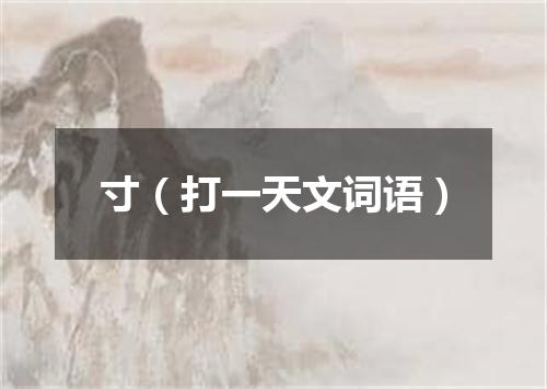 寸（打一天文词语）