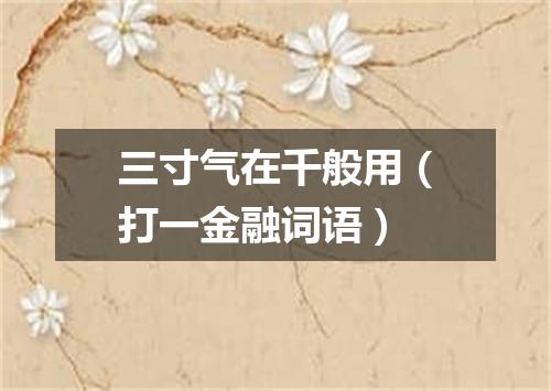 三寸气在千般用（打一金融词语）