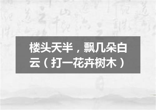 楼头天半，飘几朵白云（打一花卉树木）