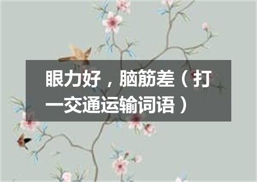 眼力好，脑筋差（打一交通运输词语）
