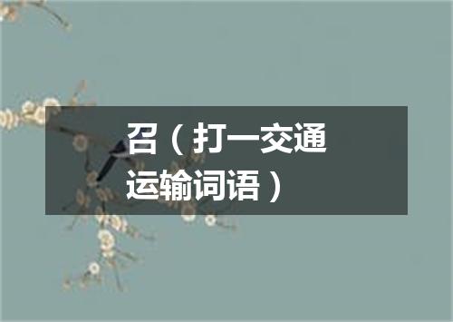 召（打一交通运输词语）