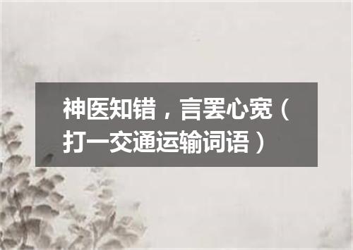 神医知错，言罢心宽（打一交通运输词语）