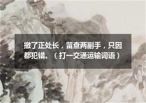 撤了正处长，留查两副手，只因都犯错。（打一交通运输词语）