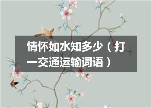 情怀如水知多少（打一交通运输词语）