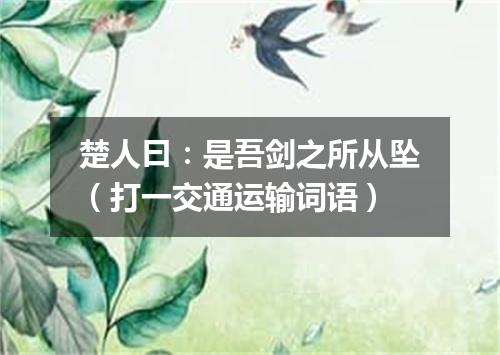 楚人曰：是吾剑之所从坠（打一交通运输词语）
