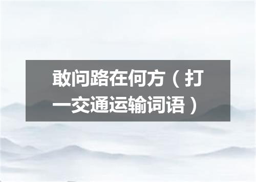 敢问路在何方（打一交通运输词语）