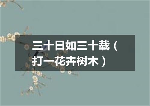 三十日如三十载（打一花卉树木）