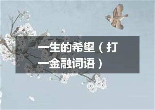 一生的希望（打一金融词语）