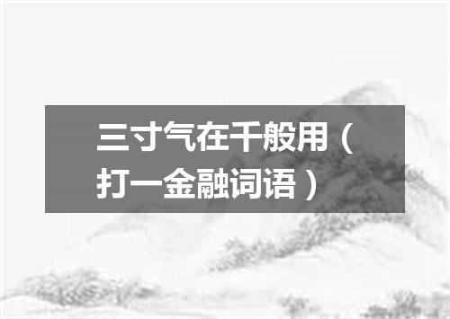 三寸气在千般用（打一金融词语）