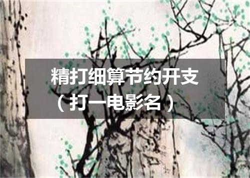 精打细算节约开支（打一电影名）