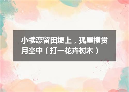 小犊恋留田埂上，孤星横贯月空中（打一花卉树木）