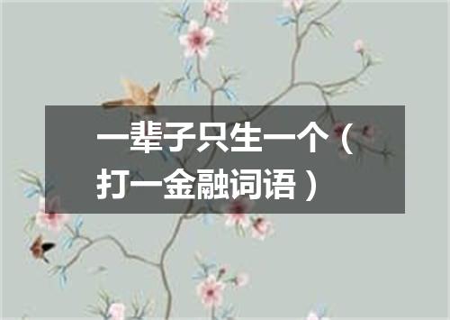 一辈子只生一个（打一金融词语）