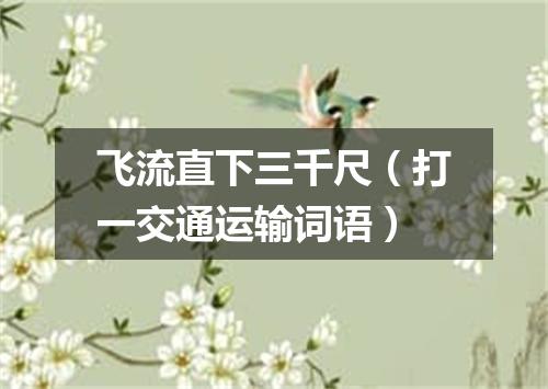 飞流直下三千尺（打一交通运输词语）