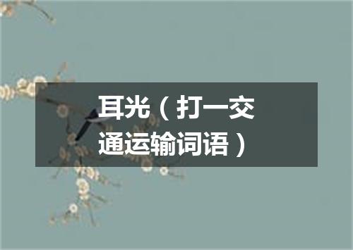 耳光（打一交通运输词语）