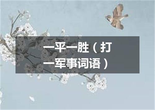 一平一胜（打一军事词语）