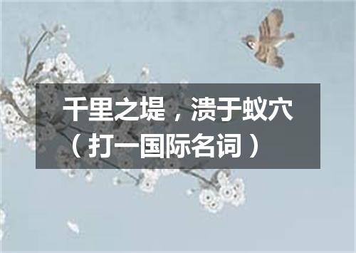 千里之堤，溃于蚁穴（打一国际名词）