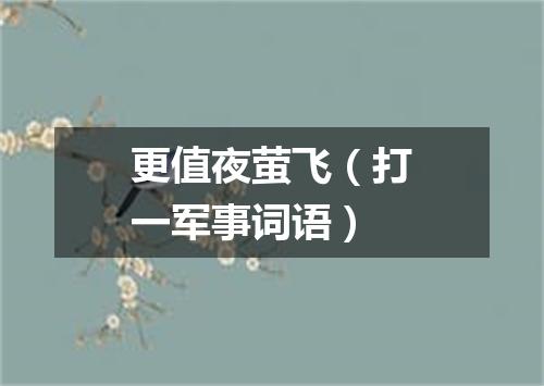 更值夜萤飞（打一军事词语）