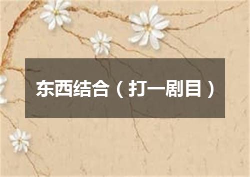东西结合（打一剧目）