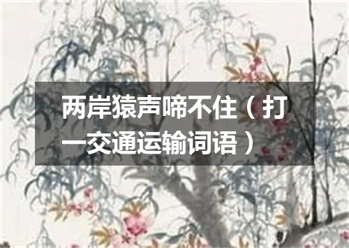 两岸猿声啼不住（打一交通运输词语）