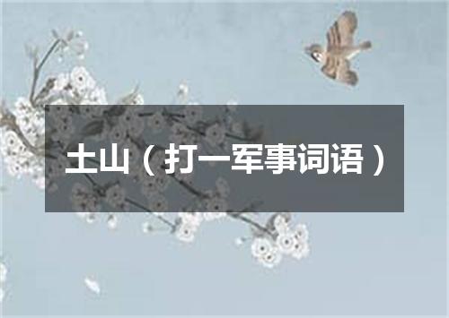 土山（打一军事词语）