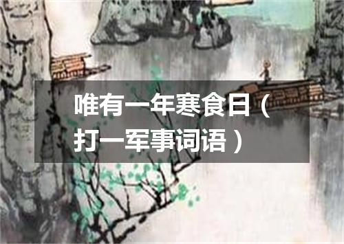 唯有一年寒食日（打一军事词语）
