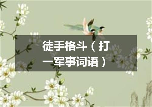 徒手格斗（打一军事词语）