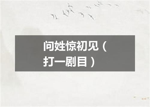 问姓惊初见（打一剧目）