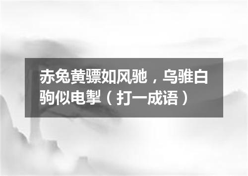 赤兔黄骠如风驰，乌骓白驹似电掣（打一成语）