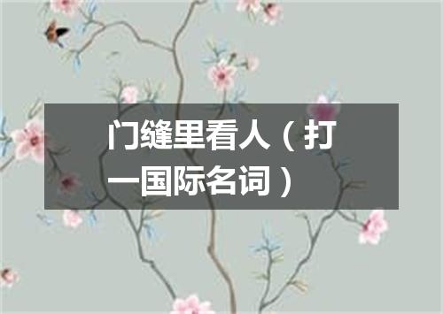 门缝里看人（打一国际名词）
