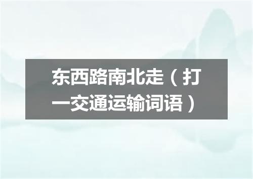 东西路南北走（打一交通运输词语）