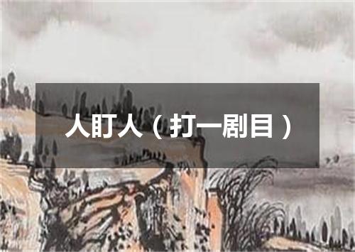 人盯人（打一剧目）