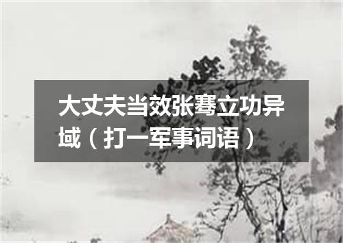 大丈夫当效张骞立功异域（打一军事词语）