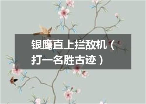 银鹰直上拦敌机（打一名胜古迹）