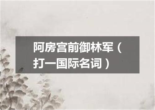 阿房宫前御林军（打一国际名词）