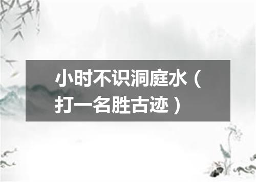 小时不识洞庭水（打一名胜古迹）