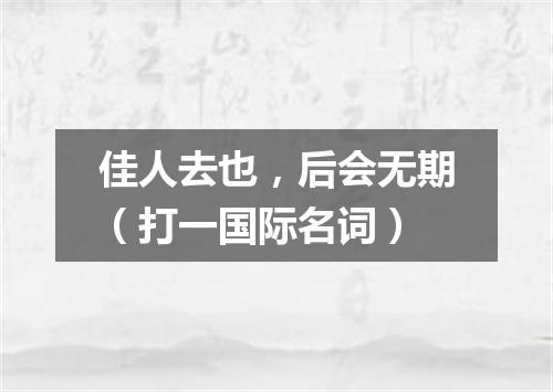 佳人去也，后会无期（打一国际名词）