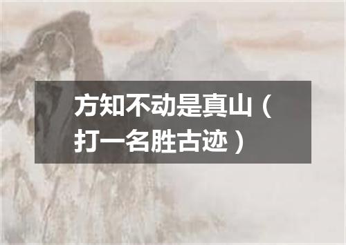 方知不动是真山（打一名胜古迹）