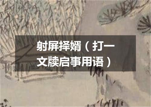 射屏择婿（打一文牍启事用语）