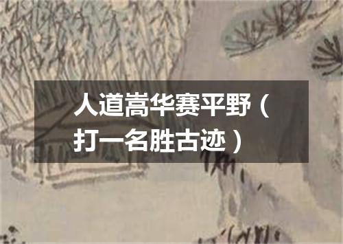 人道嵩华赛平野（打一名胜古迹）