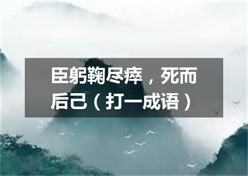 臣躬鞠尽瘁，死而后己（打一成语）