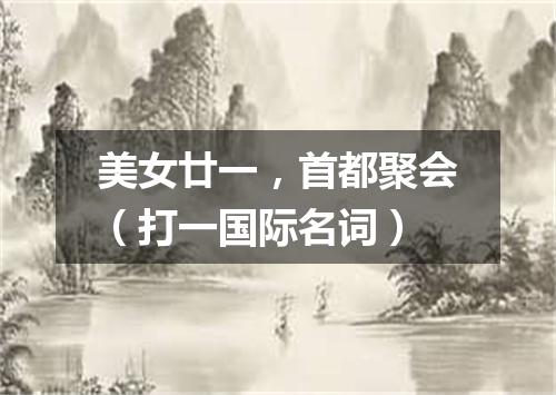 美女廿一，首都聚会（打一国际名词）