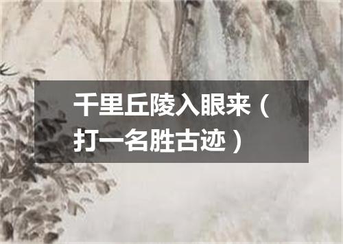 千里丘陵入眼来（打一名胜古迹）