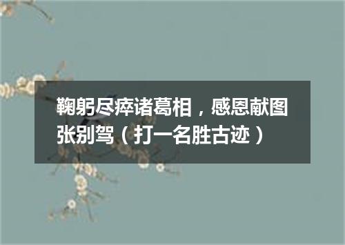 鞠躬尽瘁诸葛相，感恩献图张别驾（打一名胜古迹）