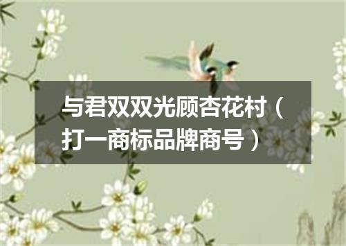 与君双双光顾杏花村（打一商标品牌商号）