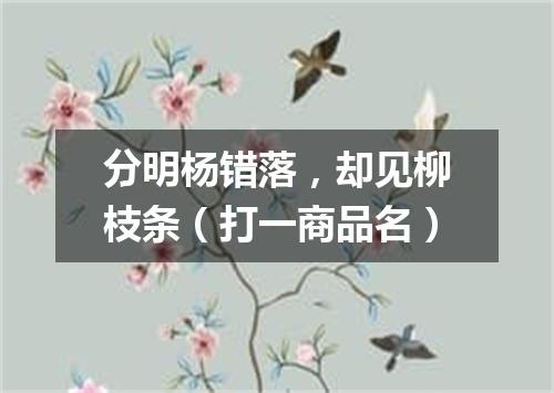分明杨错落，却见柳枝条（打一商品名）