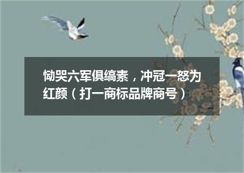 恸哭六军俱缟素，冲冠一怒为红颜（打一商标品牌商号）