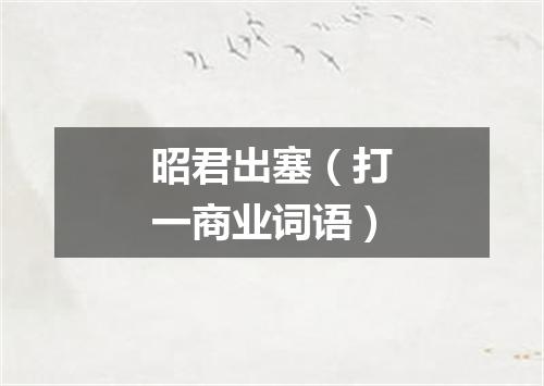 昭君出塞（打一商业词语）