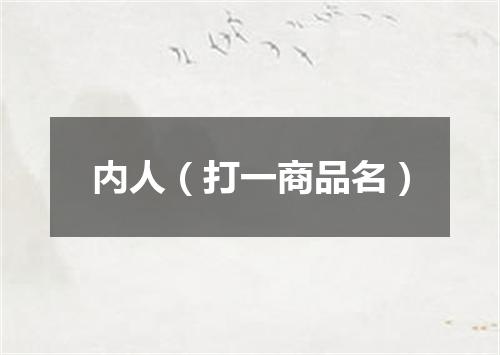 内人（打一商品名）